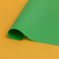 Wodoodporny papier bibułkowy 24g, gruby, zielony, 50x70cm, z Twoim logo