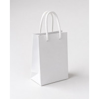 Torba kartonowa biala pionowa 16x12x6 cm